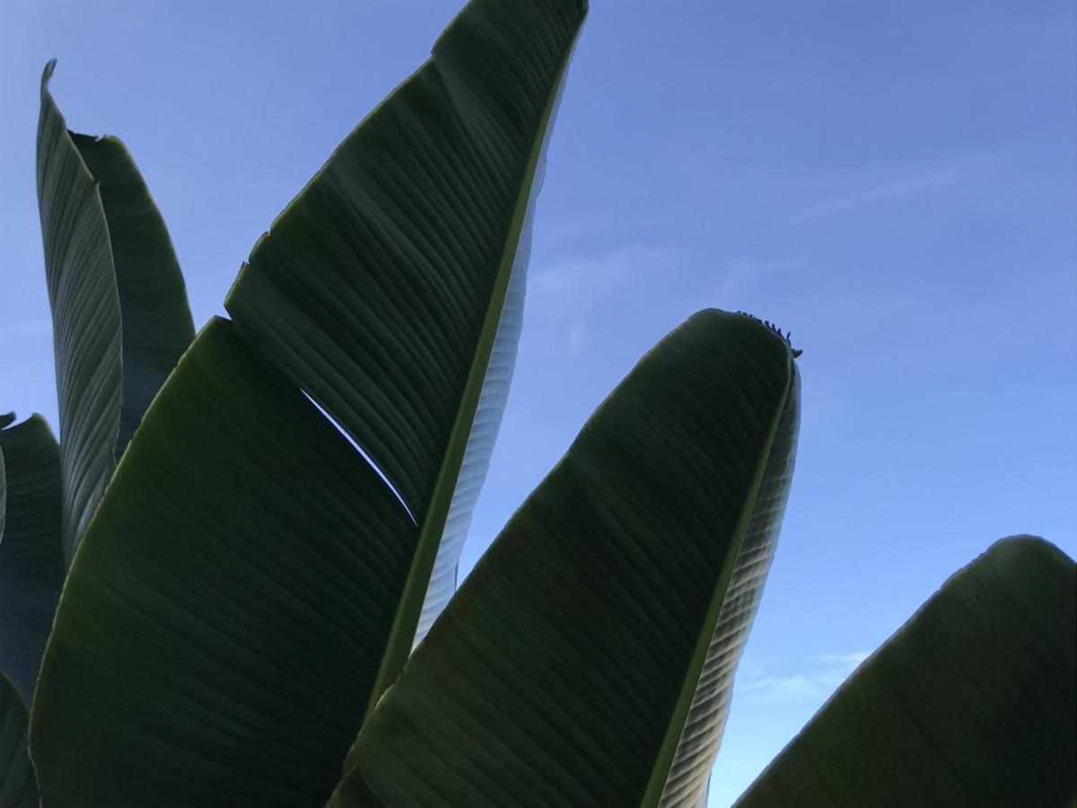 Encanto Das Flores Praia de Pipa 外观 照片
